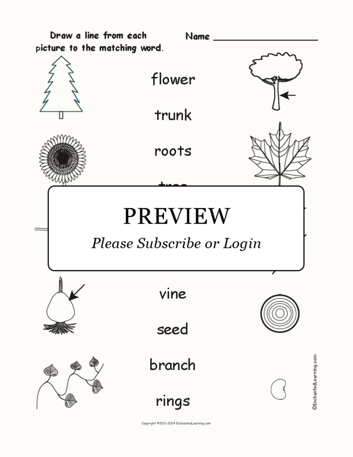 Match the Plant Words to the Pictures interactive worksheet page 1
