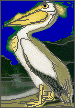 White Pelican Audubon coloring